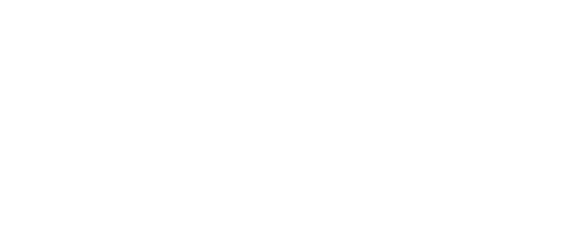 SDG logo