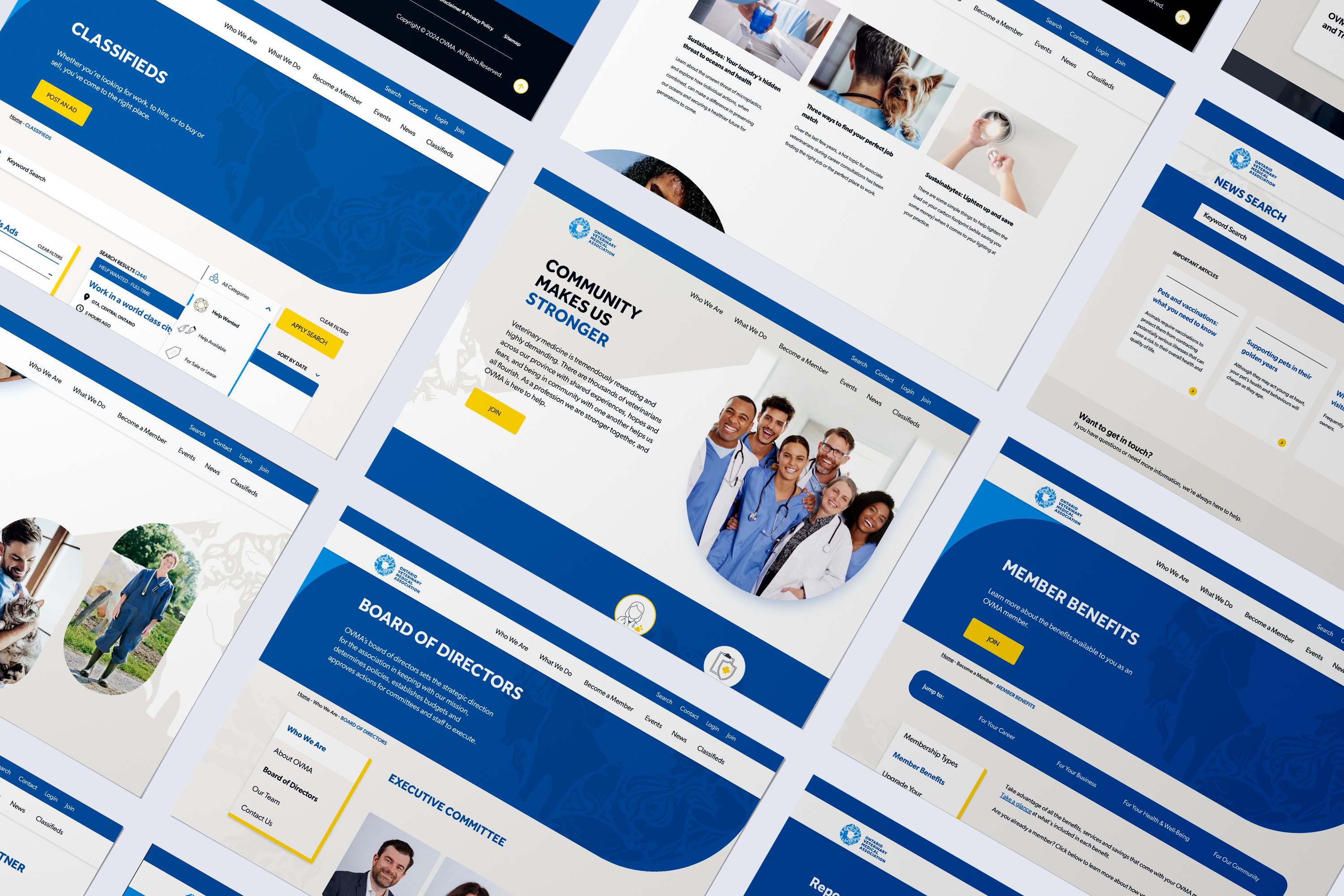 College of Veterinarians of Ontario website design layouts